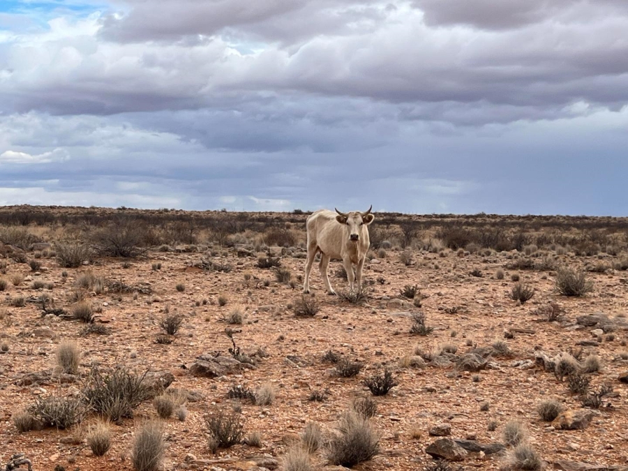 1 Bedroom Property for Sale in Kenhardt Northern Cape